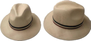 Rossa Straw Hat Asst S/M