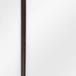 Chestnut Walking Stick