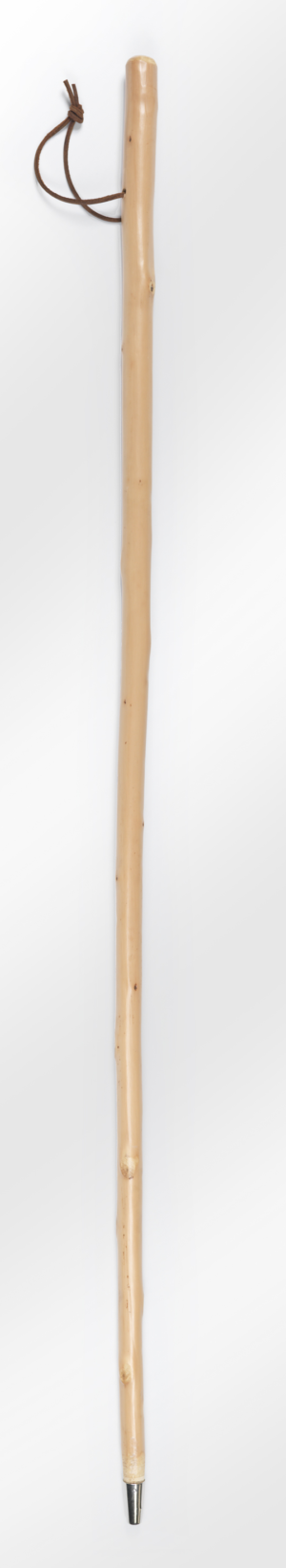 Chestnut Hiking Staff