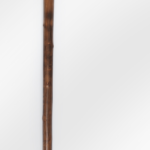 Compass Hiking Staff