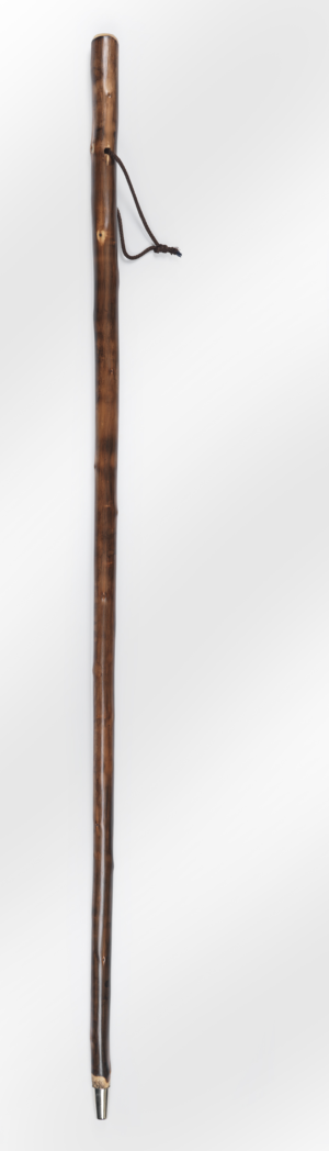 Compass Hiking Staff