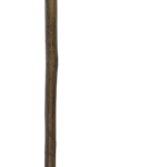 Green Crook Handle Walking Stick