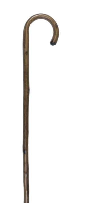 Green Crook Handle Walking Stick