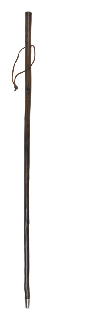 Green Compass Hiking Staff