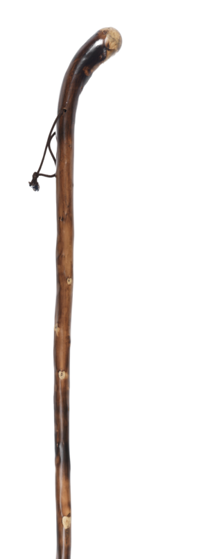 Rootball Handle Brown Long Walking Stick