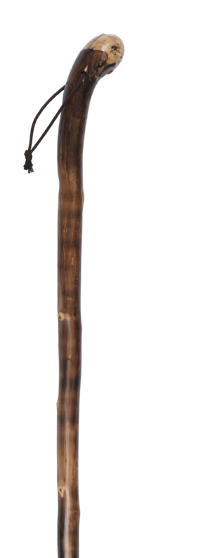 Rootball Handle Brown Short Walking Stick