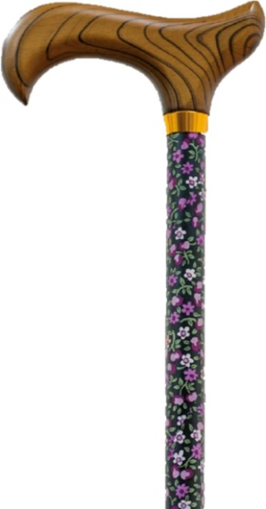 Adj Printed Walking Stick Asst Adjustable